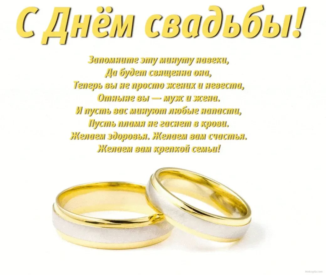 Прикольные поздравления на свадьбу в стихах | pzdb.ru - поздравления на все случаи жизни