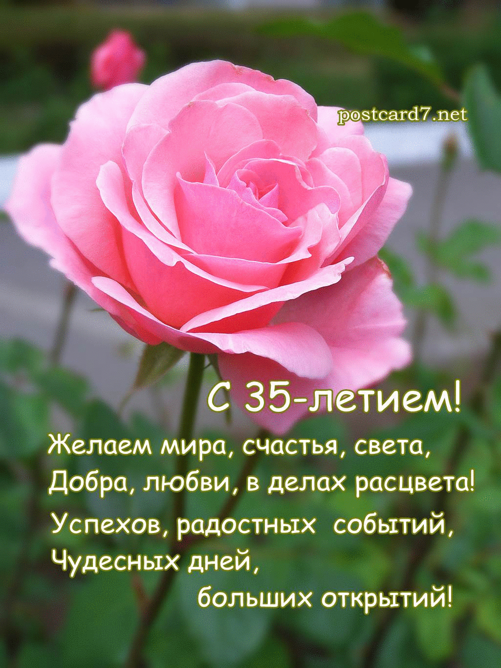 С юбилеем 35 женщине красивые поздравления | pzdb.ru - поздравления на все случаи жизни