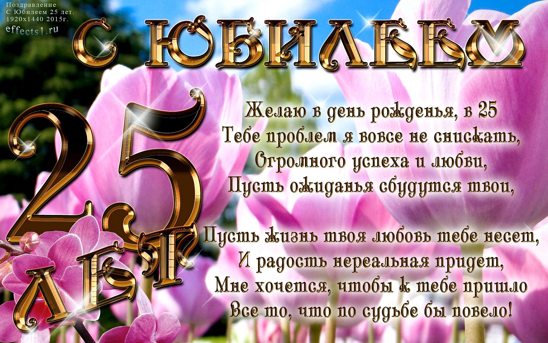Стихи поздравления с юбилеем 25 лет девушке ~ все пожелания и поздравления на сайте праздникоff