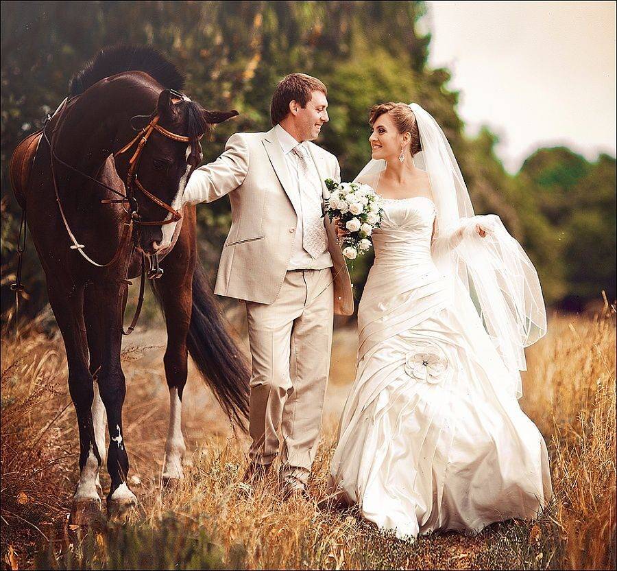 Свадебная фотосессия с лошадьми. идеи красивых снимков
