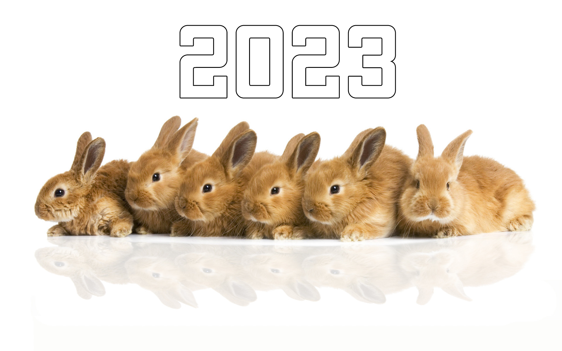 Красивые поздравления с новым годом 2023 в стихах и прозе. короткие, шуточные, смешные, прикольные пожелания в год крысы