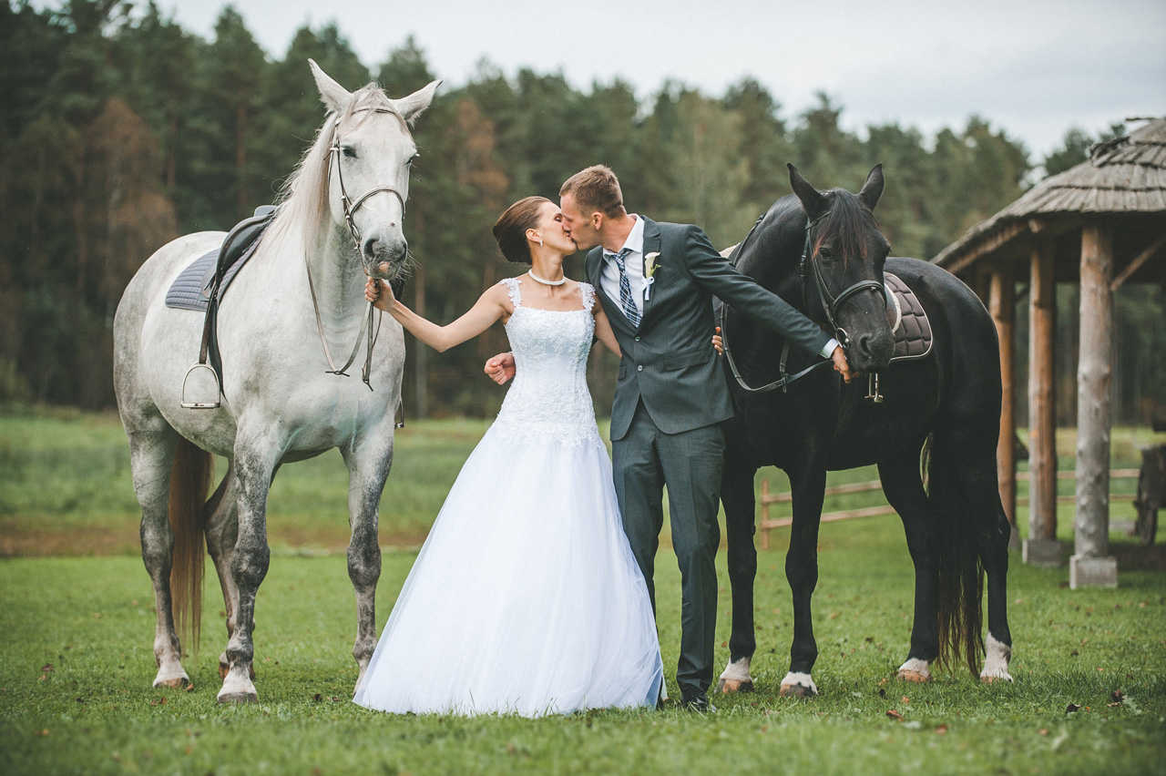 Можно ли молодоженам на свадьбе ездить в карете с лошадьми Какие есть красивые свадебные машины-кареты Фото счастливых молодоженов в карете