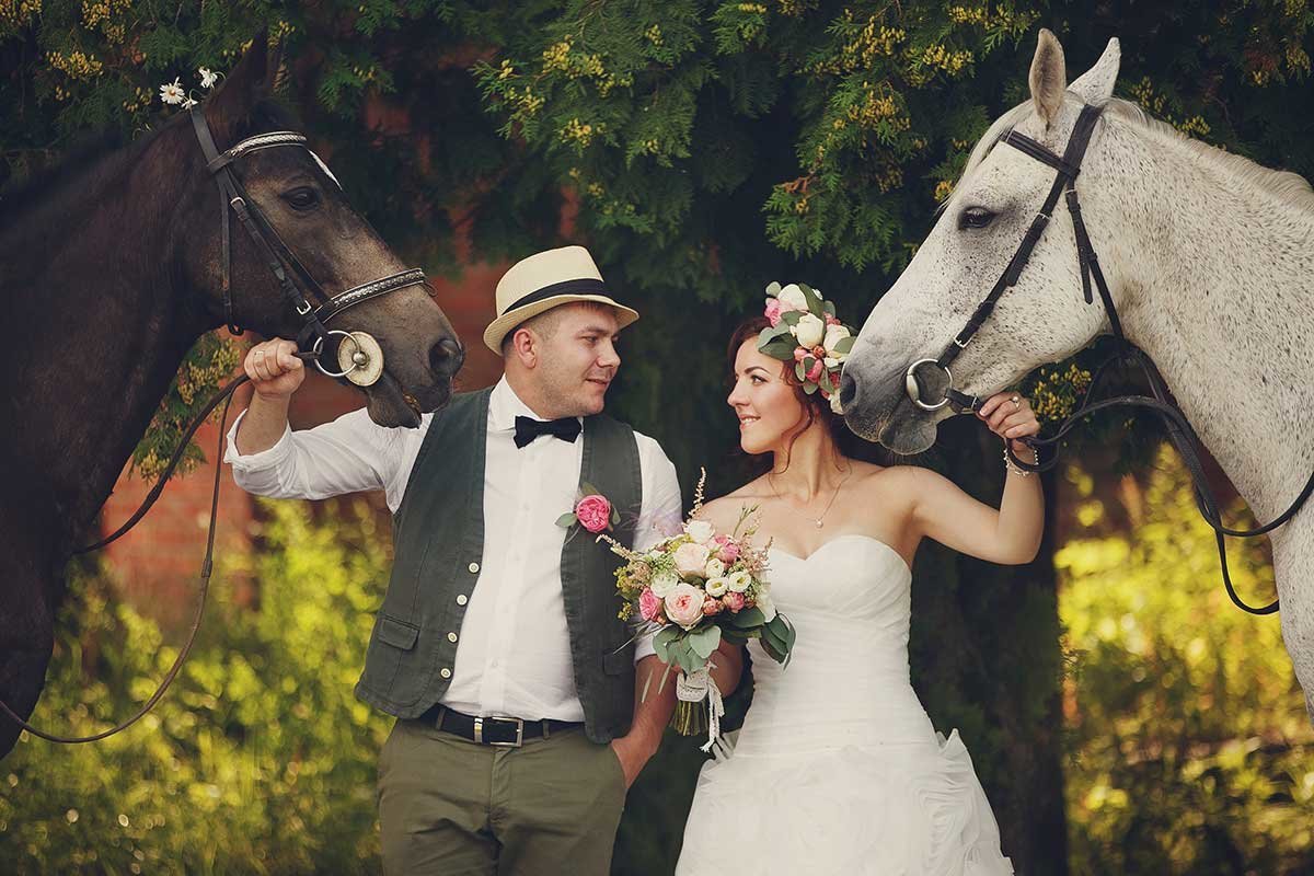 Лошади на свадьбе – как провести необычную фотосессию