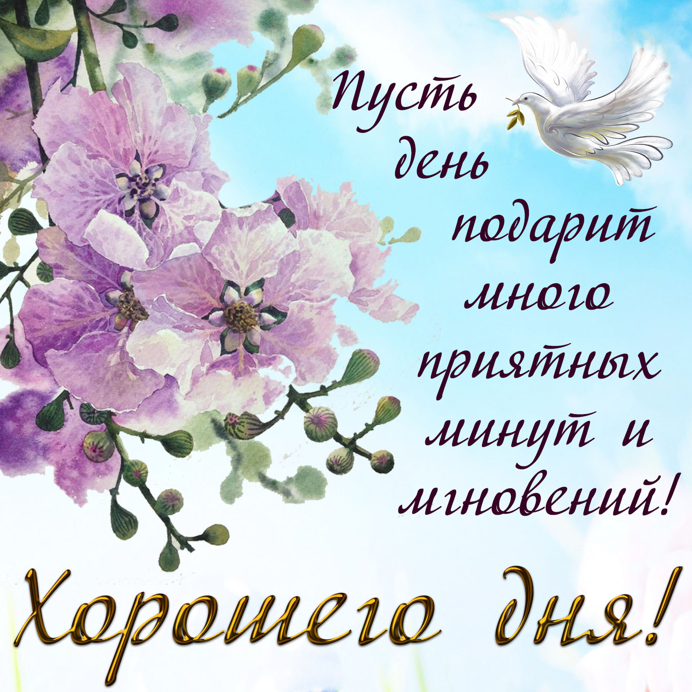 Листівки доброго дня