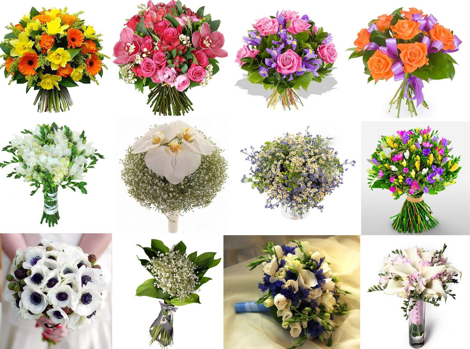 Какие цветы подарить девушке: какой букет лучше преподнести женщине на день рождения, на 1 свидание по правилам этикета