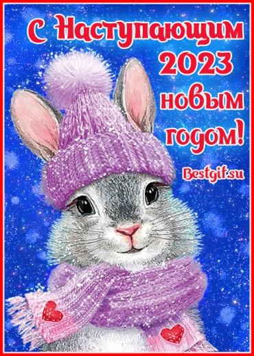 Шуточные смс поздравления с новым 2023 годом – sovet-podarok.ru