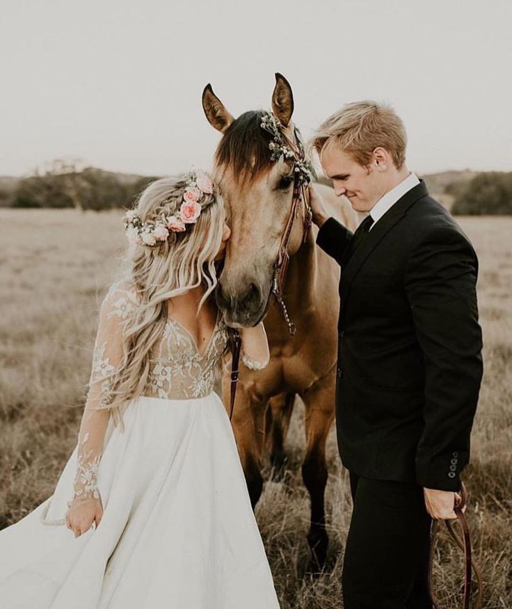 ᐉ свадебная фотосессия с лошадьми – несколько романтических идей - ➡ danilov-studio.ru