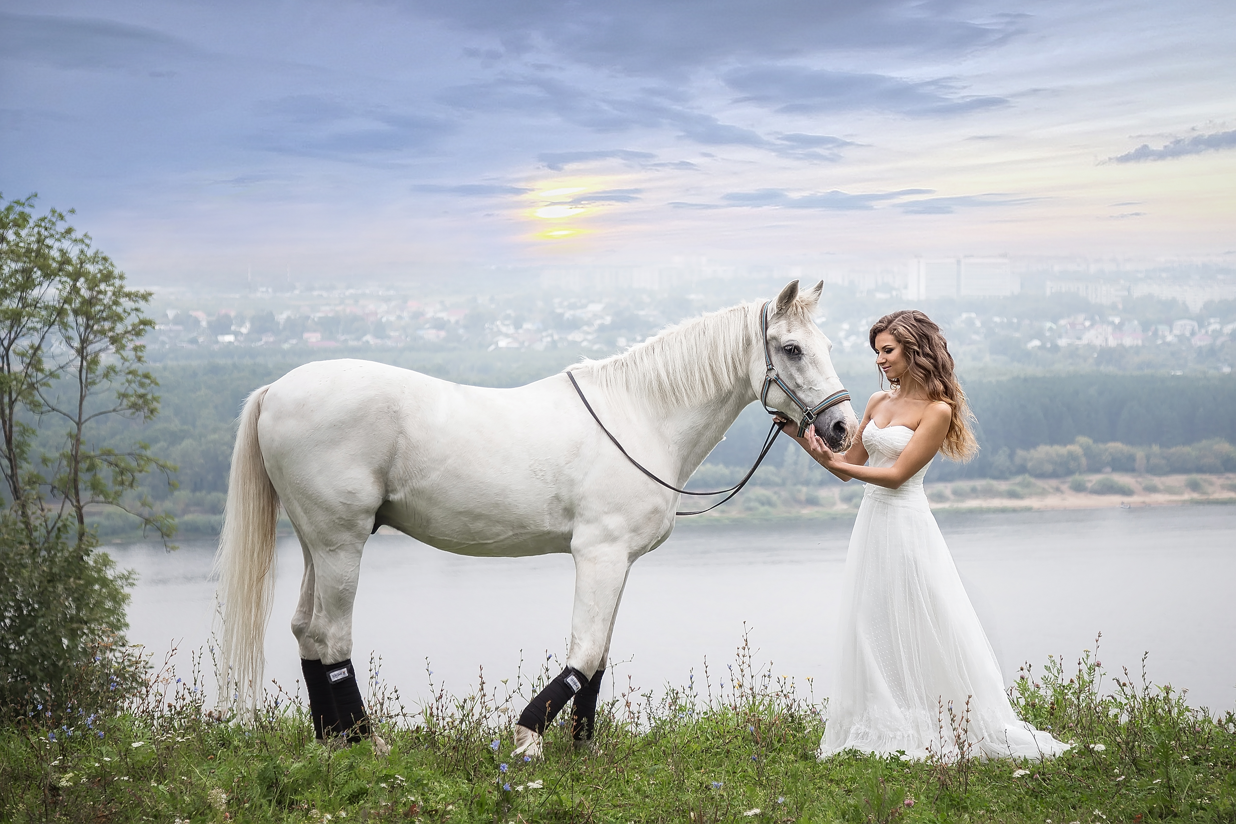Свадебная фотосессия с лошадьми, собаками - фото и видео пример