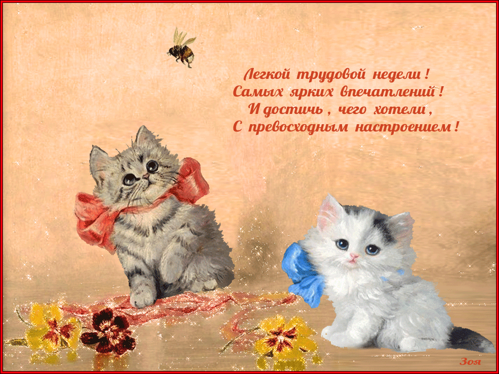 Открытка «котики». Пожелания. Красивые открытки с котиками. Хорошие пожелания. Желаю легкой работы